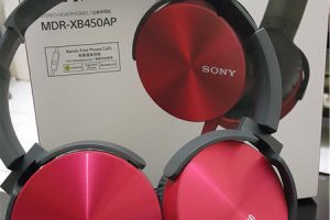 Sony MDR-XB450AP Extra Bass Review – Amazing Headphones with Mic!