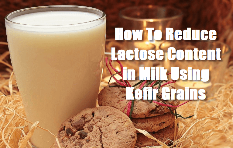 How To Reduce Lactose Content In Milk Using Kefir Grains