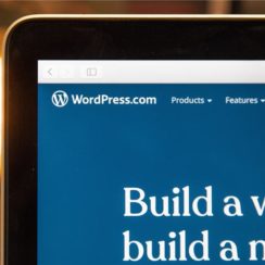 15 WordPress Skills to Master to Be Able Earning Money Using Them
